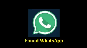Fouad WhatsApp Apk Latest Version 10.5 – Download 2024 1