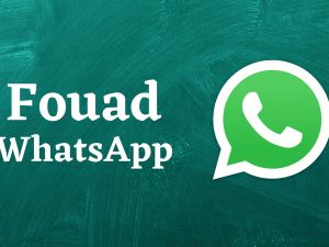 Fouad WhatsApp Apk Latest Version 10.5 – Download 2024 2